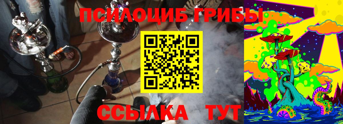 Галлюциногенные грибы прущие грибы Кохма
