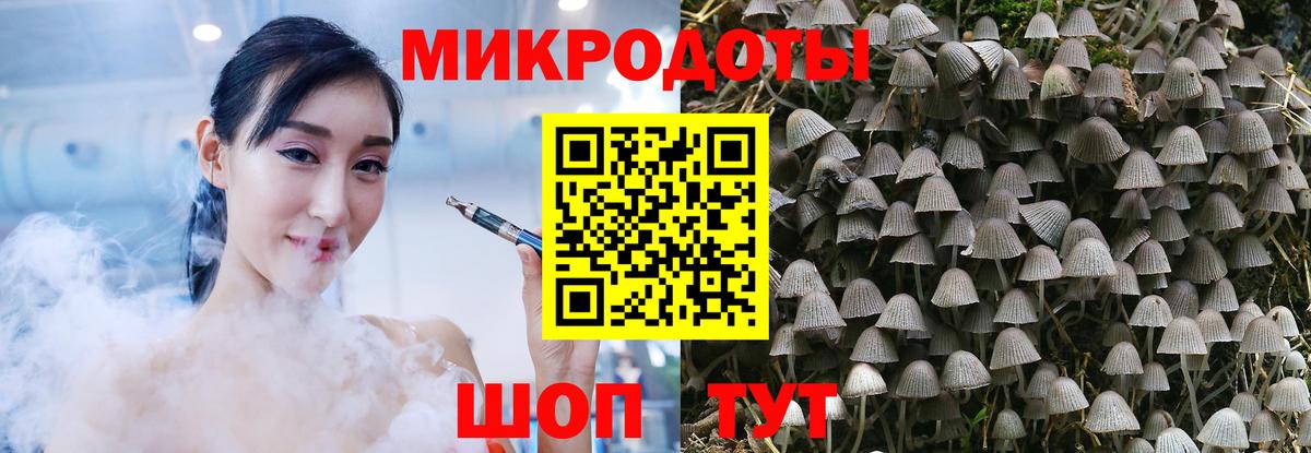 Кохма  Галлюциногенные грибы мухоморы  Вход с VPN 